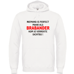 Hooded Sweater – Niemand is perfect